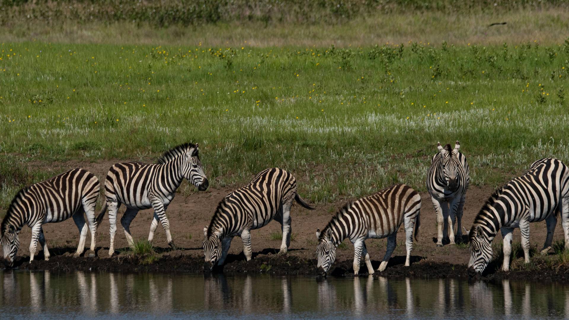 loading-thumb-image-27