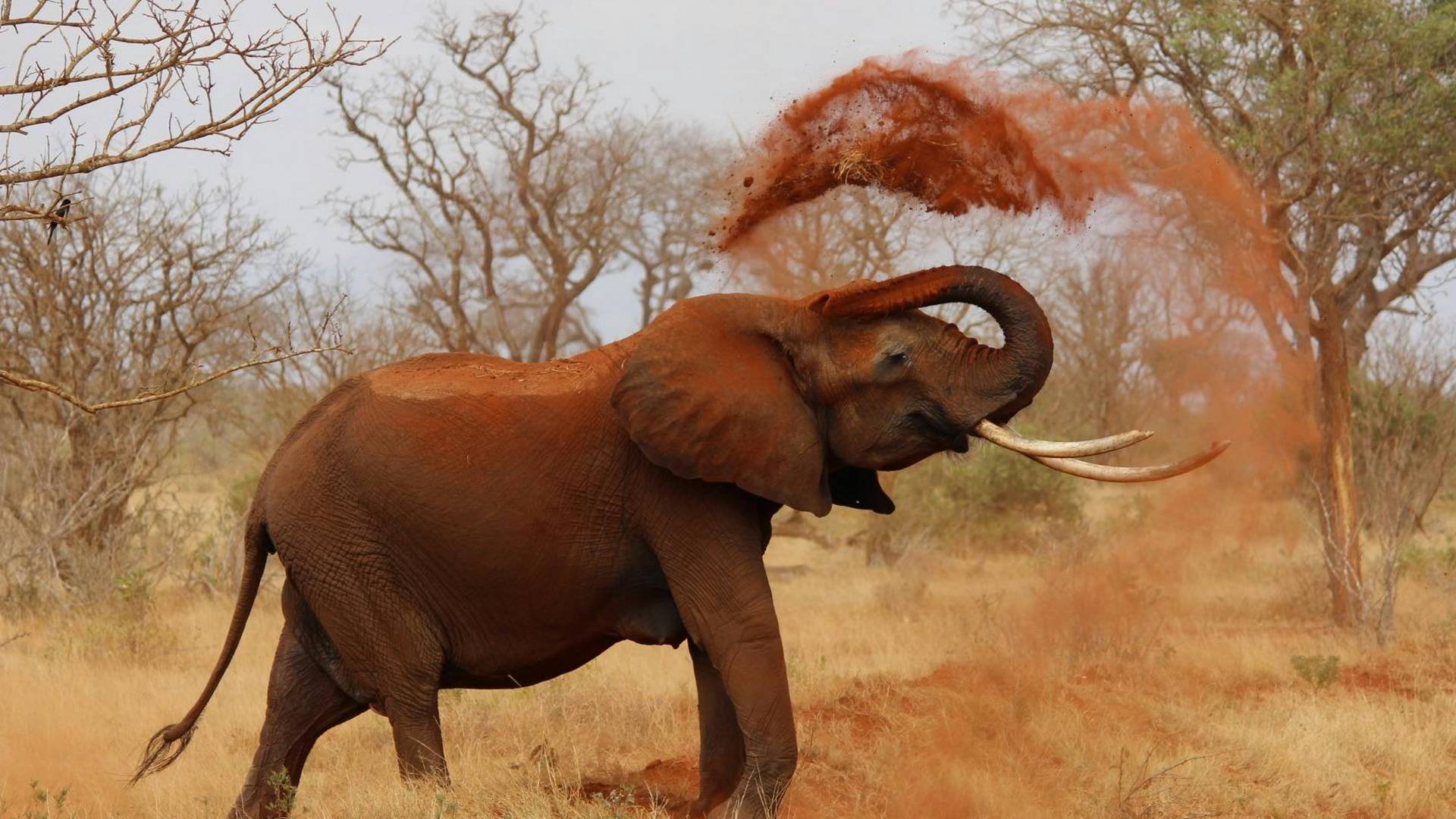 loading-thumb-image-5